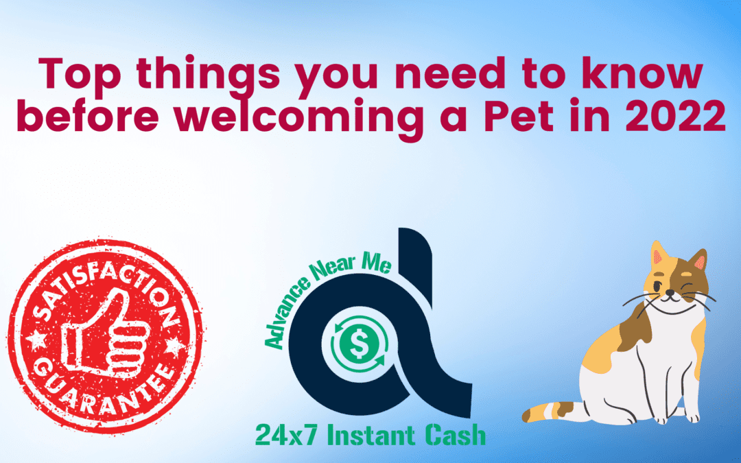 Pet Financing: Top things you need to know before welcoming a Pet in 2022