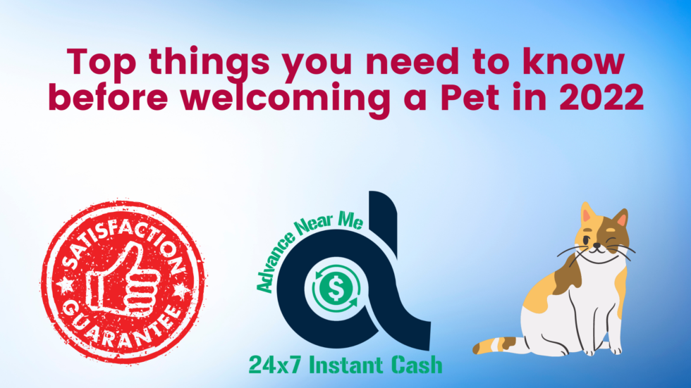 Pet Financing: Top things you need to know before welcoming a Pet in 2022